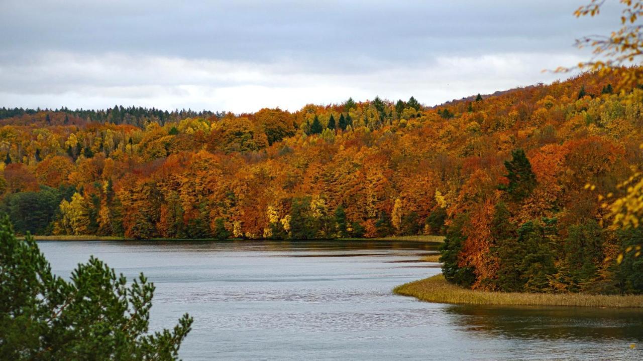 Widokowka Zacisze Brodnica Dolna
